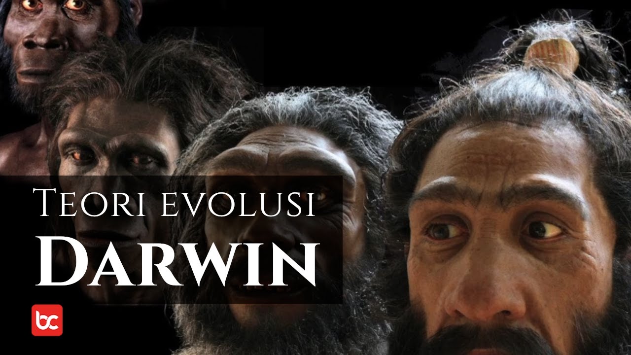 Teori Evolusi Darwin Yang Mencengangkan Dunia Bicara