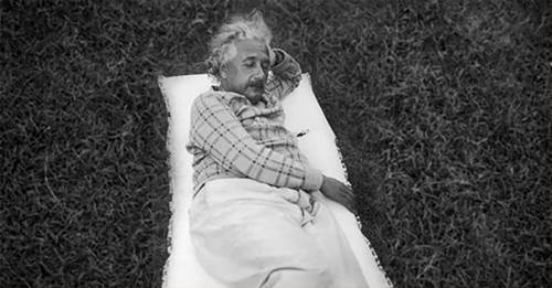 Albert Einstein sedang berpose tidur di alam terbuka 