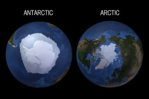 Antartic & Arctic - Zaman Es