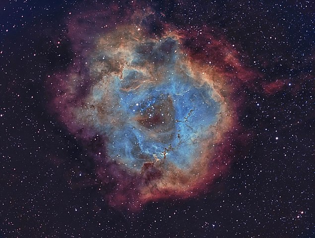 Foto Fenomena; Rosette-NBv 5