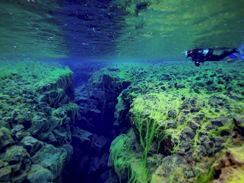 Silfra Fissure Thingvellir National Park Iceland - Keindahan  dibawah laut