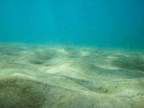 Kondisi bawah laut juga kacau jika antartika mencair