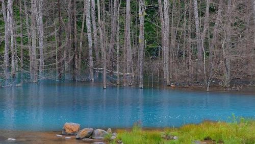 Danau Hokkaido Jepang Yang dapat Berubah Warna - Tempat di Bumi