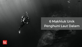 6 Makhluk Unik Penghuni Laut Dalam