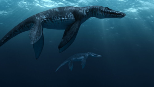 Liopleurodon. Sumber : listverse wpengine 