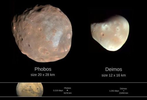 Phobos & Deimos