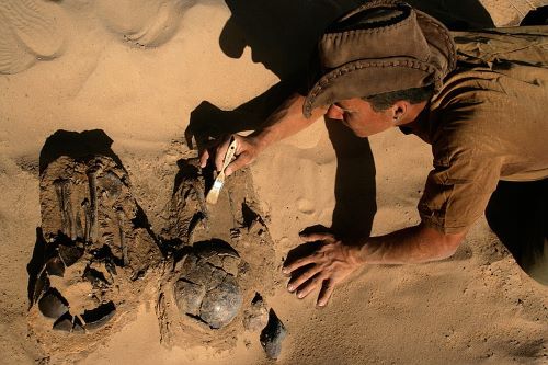 Paul Sereno - Gobero Skeletons - Rahasia Tersembunyi dari Bawah Gurun Sahara