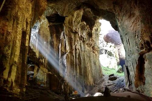 Goa Gomantong Kalimantan saat pagi hari