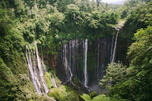 Hutan Indonesia