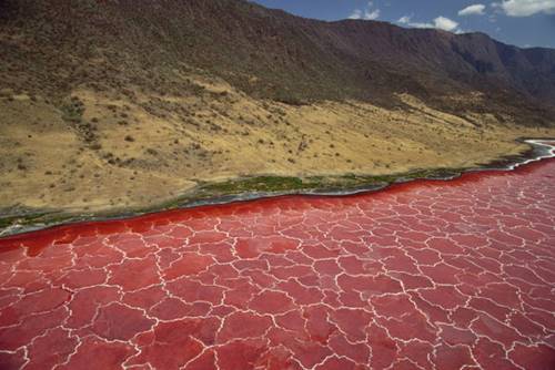 danau dengan PH 10.5 tempat indah di Bumi tapi mengerikan 