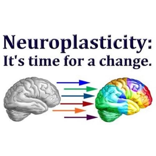 Neuroplasticity - Otak Manusia Bisa Memperbaiki Dirinya Sendiri