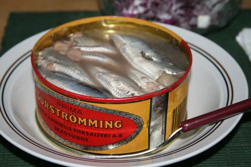 Surströmming Makanan Teraneh di Dunia