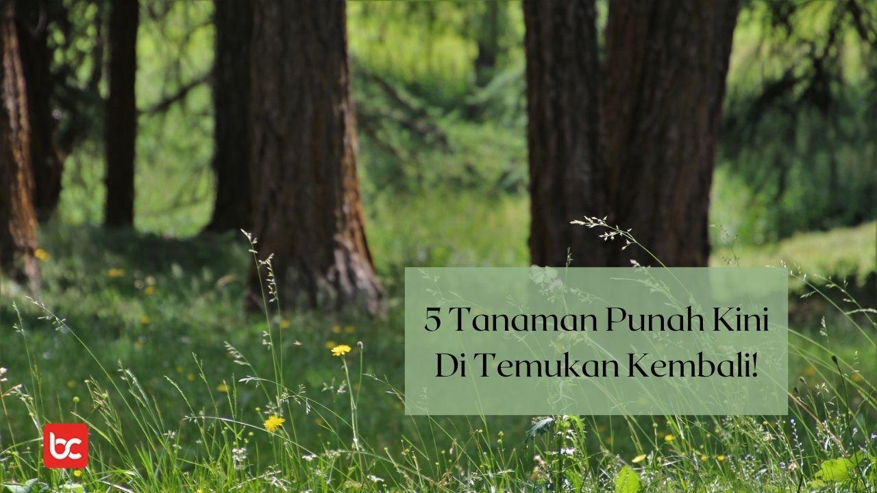 5 Tanaman Punah Kini Di Temukan Kembali!