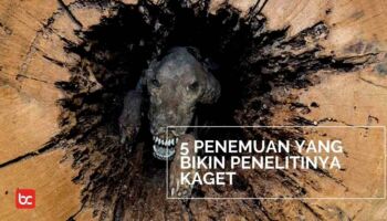 5 Penemuan Unik yang Bikin Penelitinya Kaget