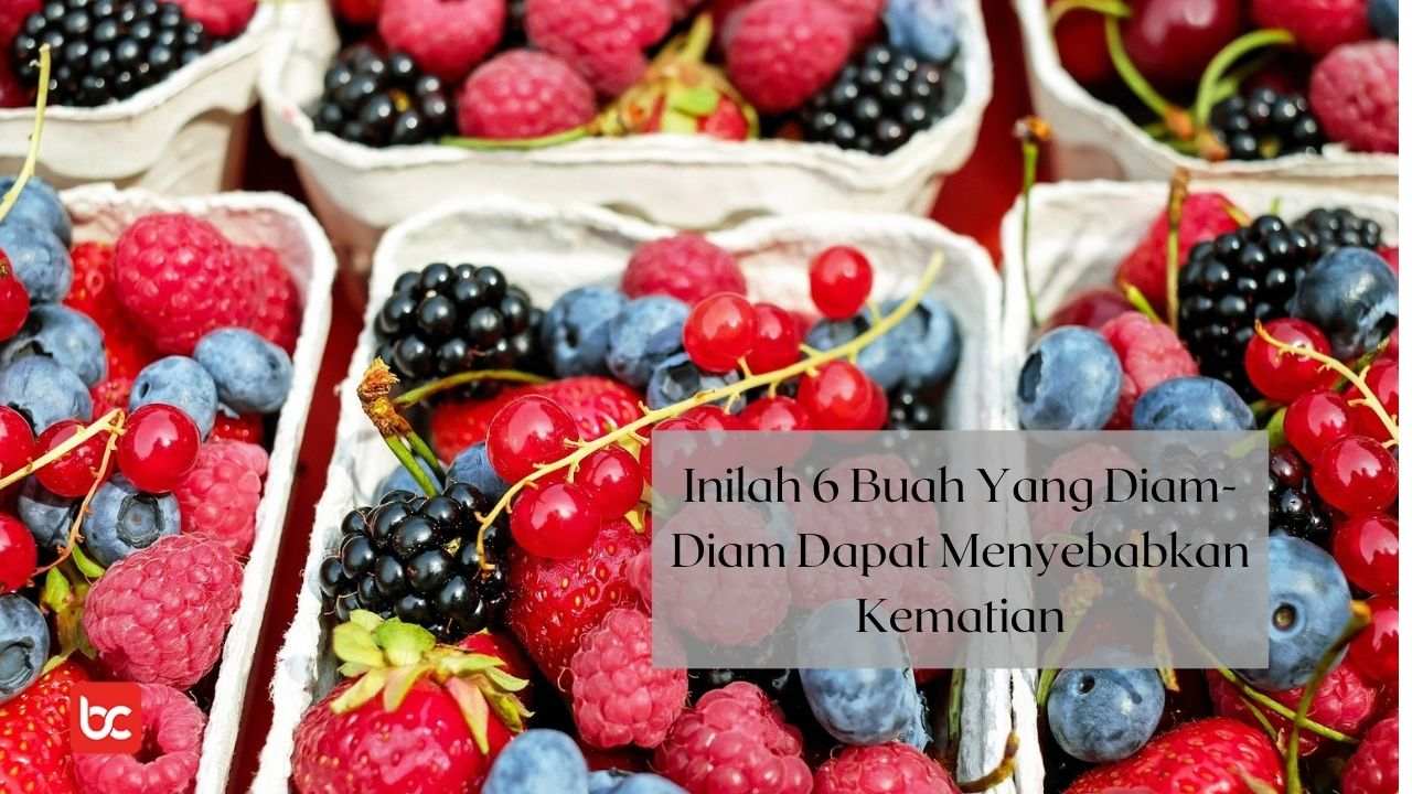 Inilah 6 Buah Yang Diam-Diam Dapat Menyebabkan Kematian