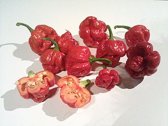 Trinidad Moruga Scorpion