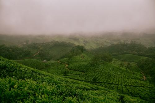 Tanah Subur dari Letusan Tambora Gegerkan Dunia