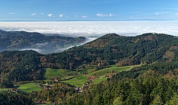 Black Forest, Hutan yang Mengerikan di  Jerman