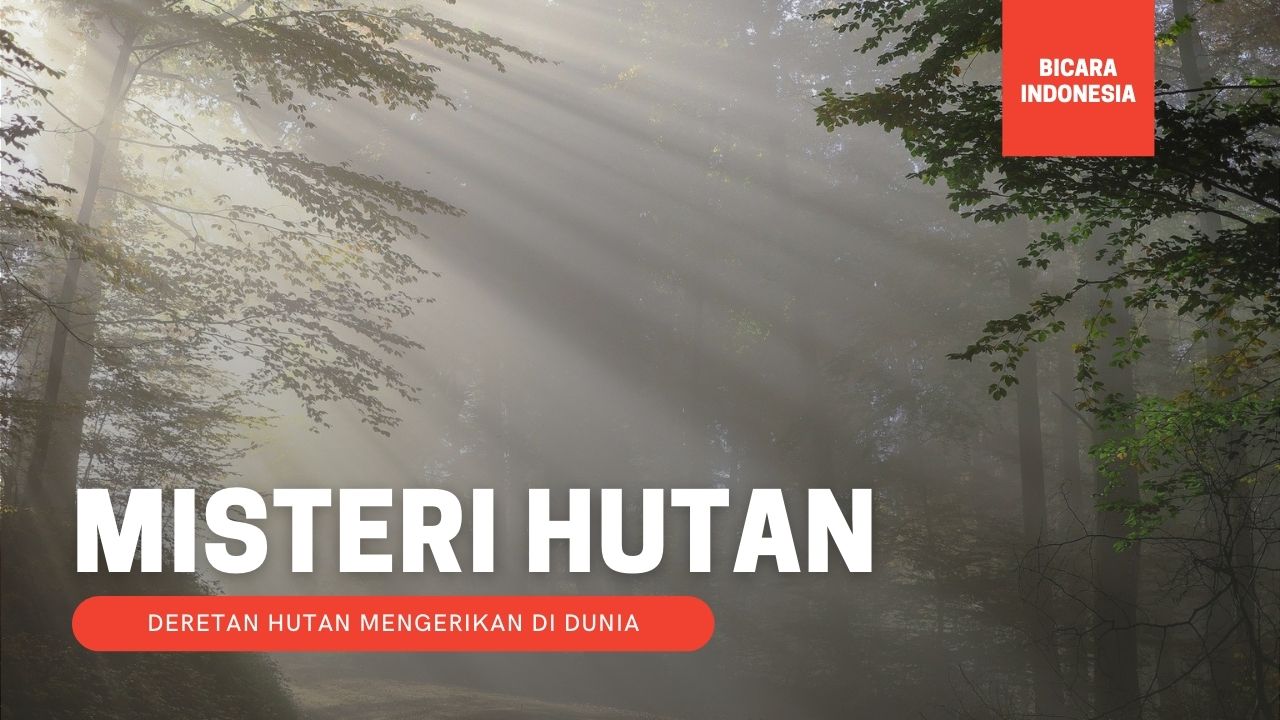 Inilah 5 Hutan yang Mengerikan, Salah Satu Dapat menyebabkan Kematian