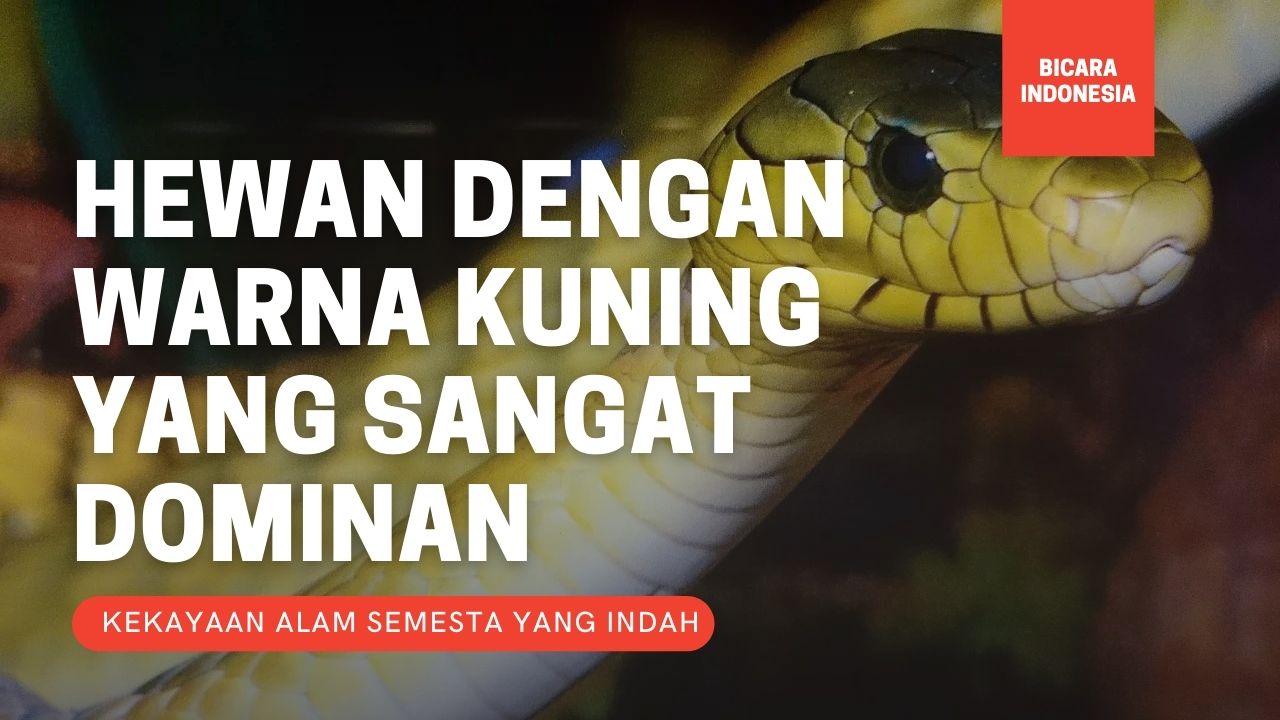 Sangat Unik! 5 Hewan dengan Warna Kuning yang Sangat Dominan