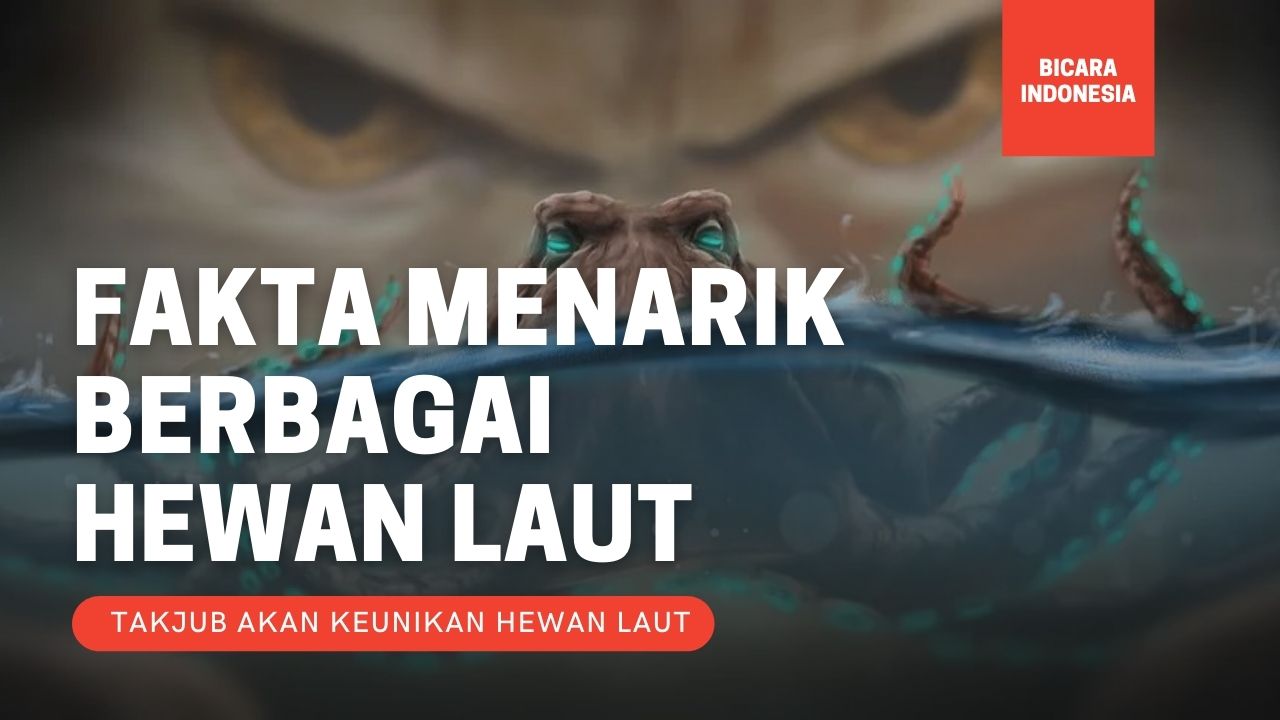 Mengagumkan! 7 Fakta Menarik Berbagai Hewan Laut