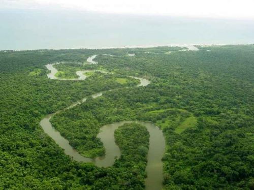 Cagar alam Río Plátano Biosphere Reserve - Honduras