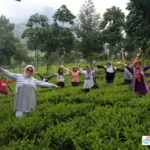 Agro Wisata Tambi