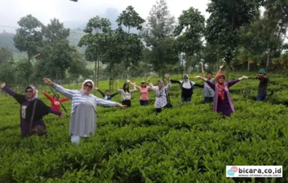 Agro Wisata Tambi