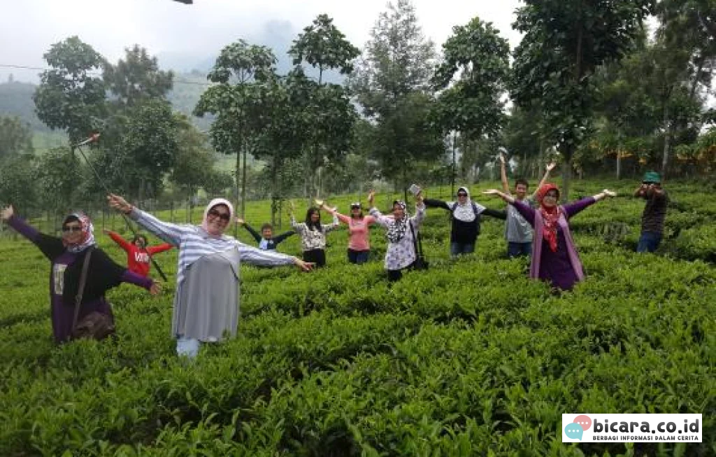 Agro Wisata Tambi