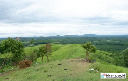 Bukit Rimpi Tanah Laut