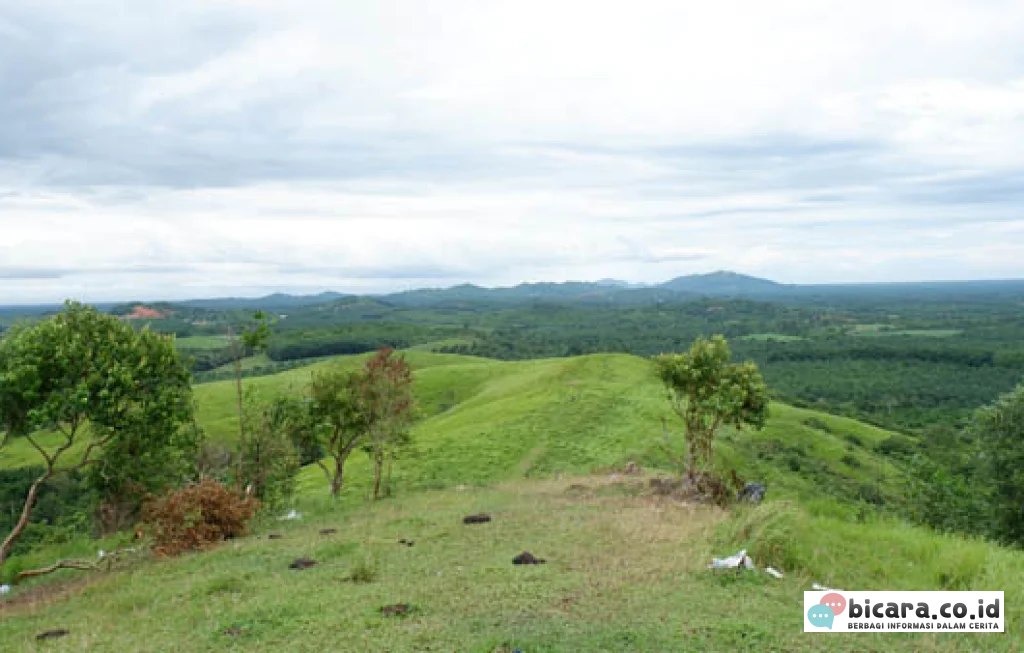 Bukit Rimpi Tanah Laut