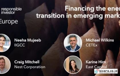 Emerging Market RI