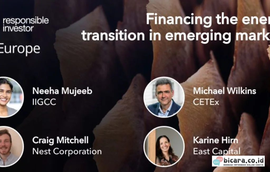 Emerging Market RI