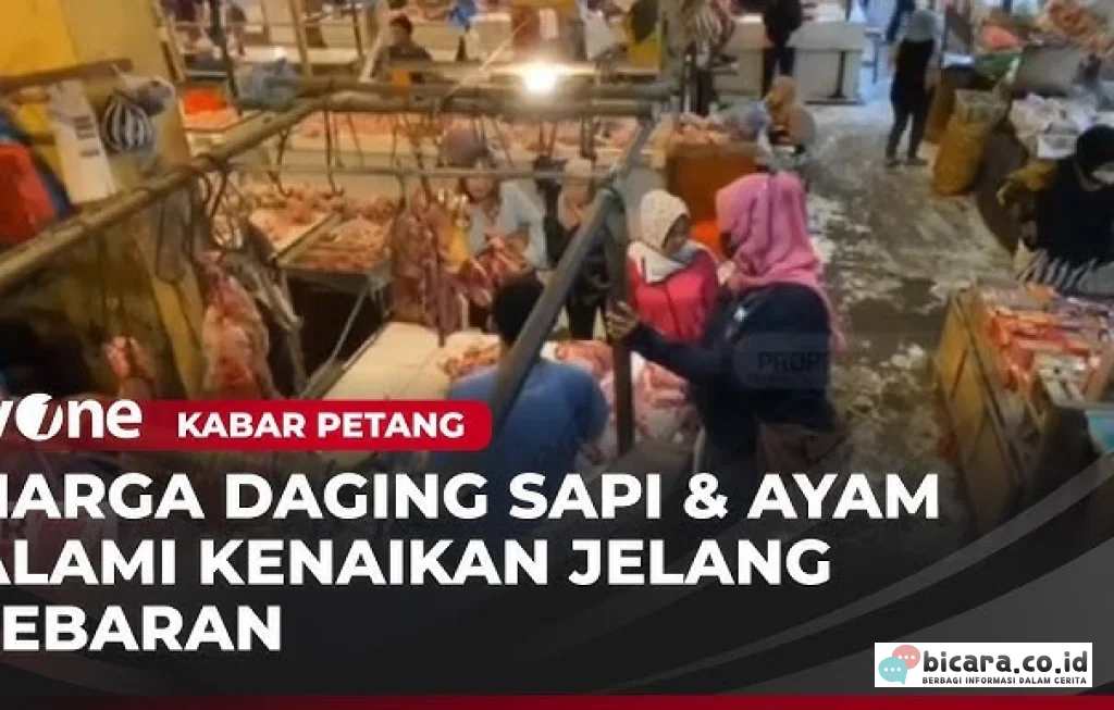 harga daging sapi ayam