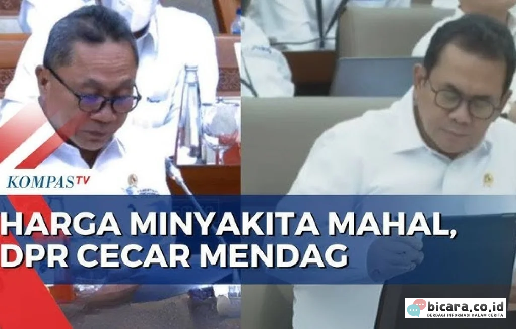 harga Minyakita mahal