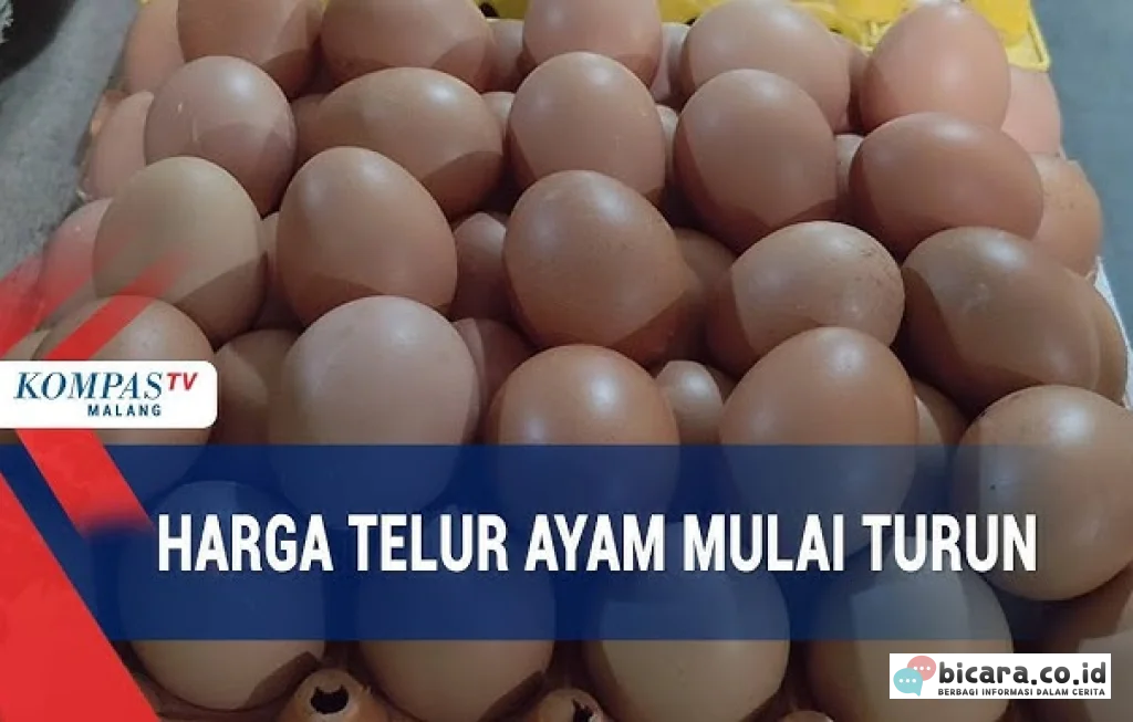 harga telur ayam turun