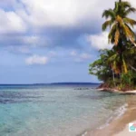 Karimunjawa Jepara Island Hopping