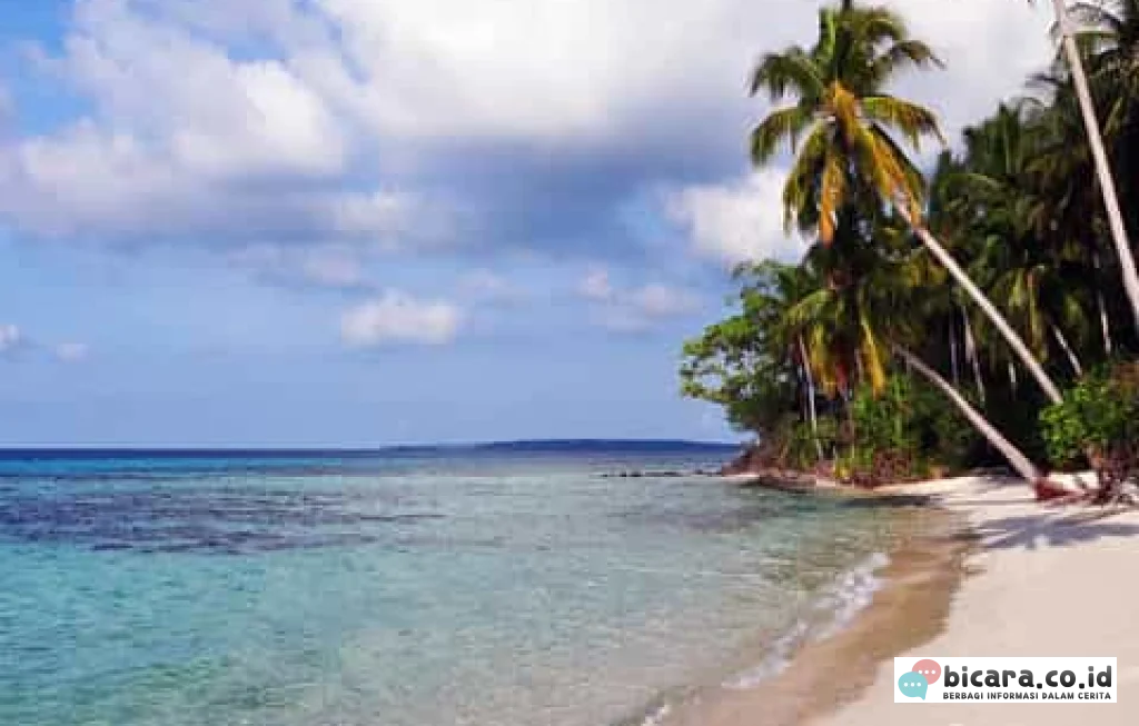Karimunjawa Jepara Island Hopping