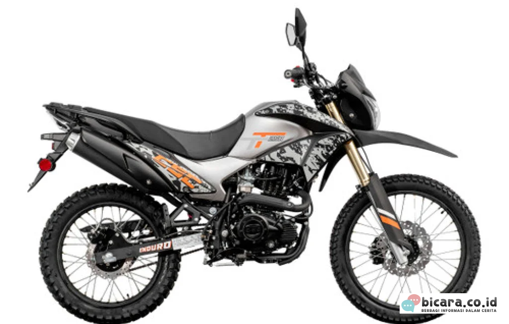 motor dual purpose 250 cc