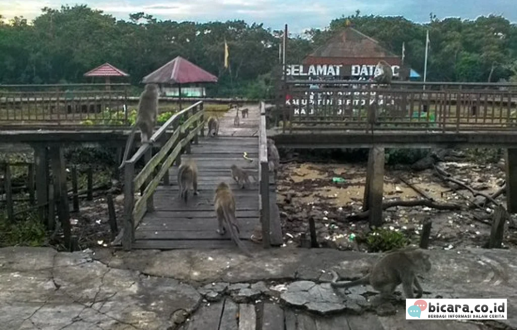 Pulau Kembang Banjarmasin
