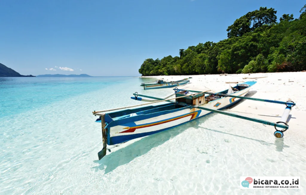 Pulau Molana Maluku