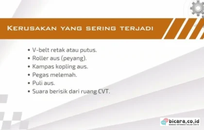 roller CVT peyang