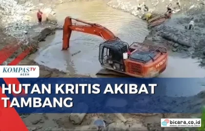 Eksploitasi Tambang dan Hutan