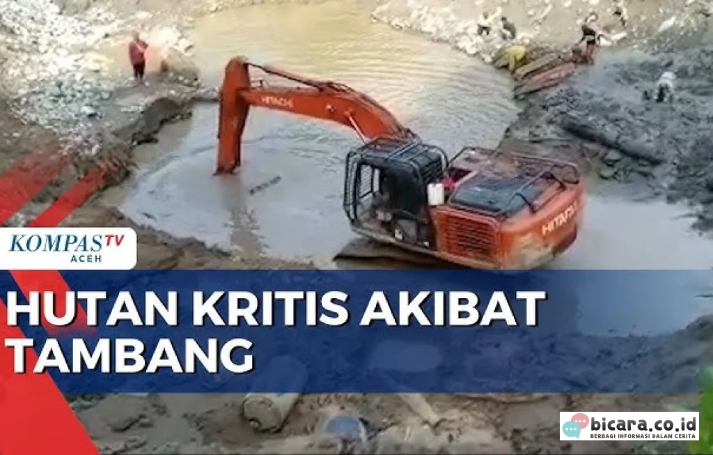 Eksploitasi Tambang dan Hutan