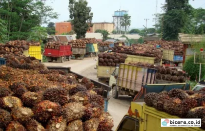 ekspor kelapa sawit