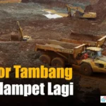 Ekspor Tertahan Aturan Logam Tanah Jarang