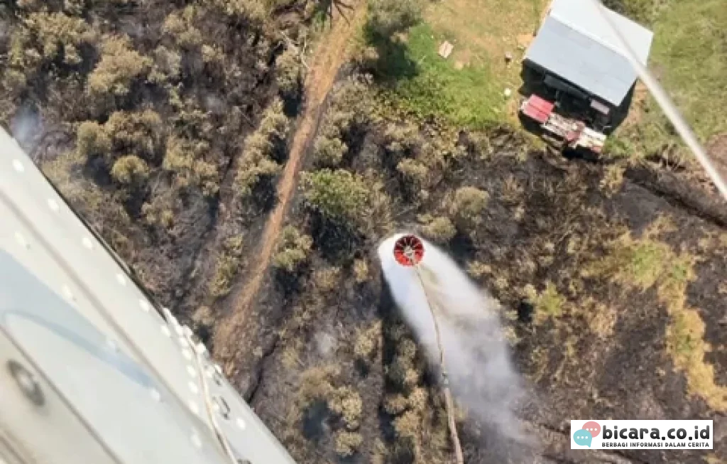 Izin Pesawat Asing Karhutla