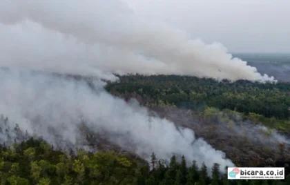 Karhutla Kalimantan Ganggu Ekonomi