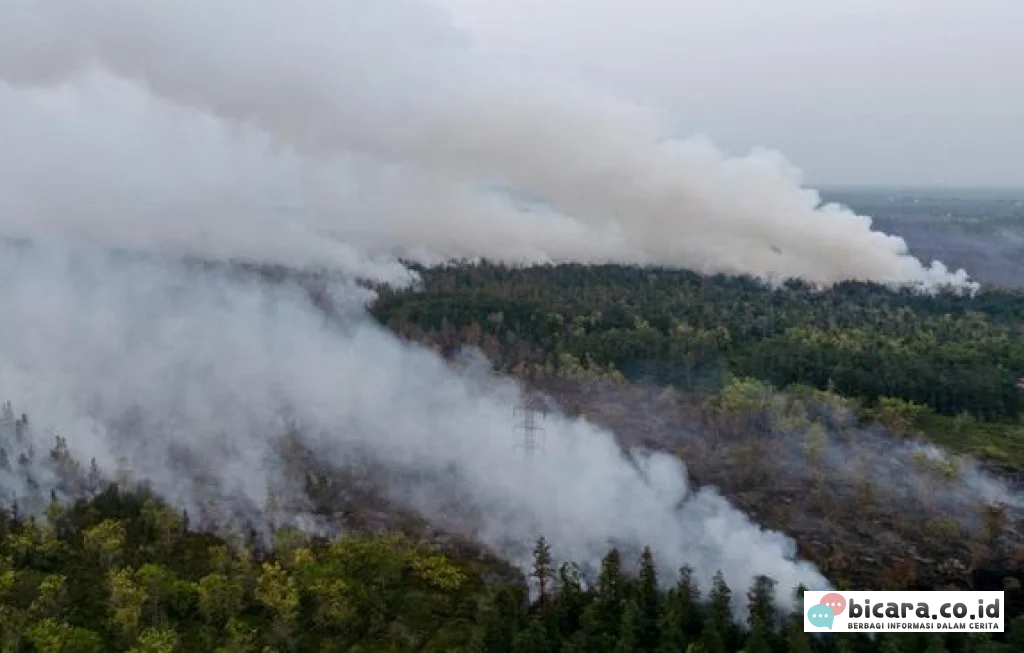Karhutla Kalimantan Ganggu Ekonomi