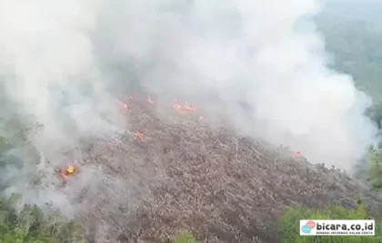 Kebakaran Hutan Kalbar